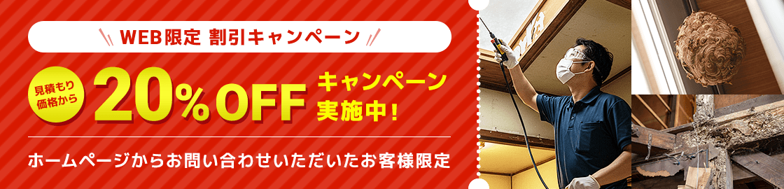 WEB限定割引キャンペーン 20%OFF