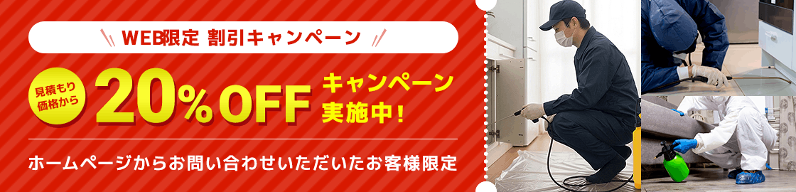 WEB限定割引キャンペーン 20%OFF