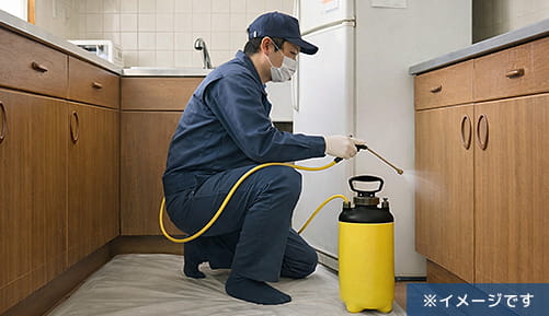 駆除イメージ