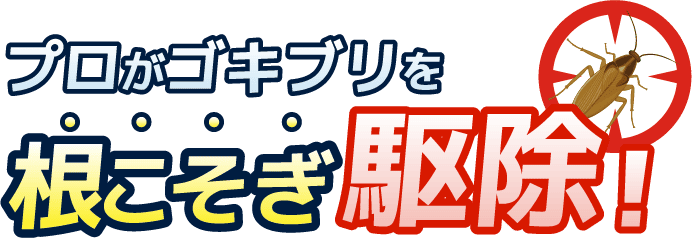 プロがゴキブリを根こそぎ駆除！