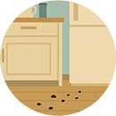 キッチンや冷蔵庫の裏に黒い粒があった