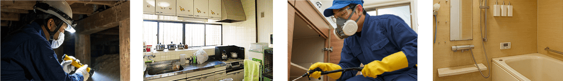 ゴキブリ駆除作業イメージ