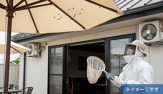 駆除イメージ