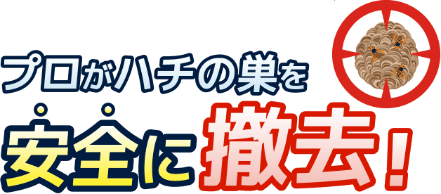 プロがハチの巣を安全に撤去！