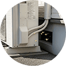 同じ場所に何度も戻るハチを見かける...