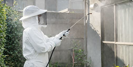 有資格のプロが徹底駆除 再発ゼロを目指して