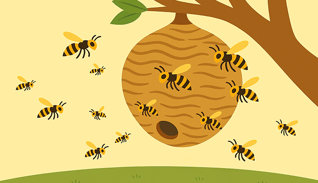 短期間で巣が巨大化