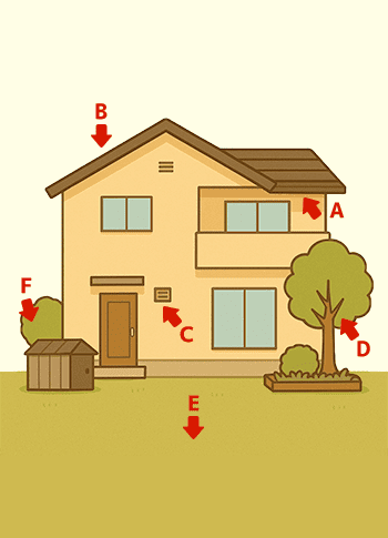 ハチが巣を作る場所イメージ