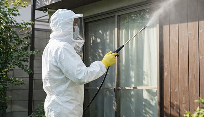安全な薬剤で徹底駆除