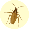 ゴキブリイメージ