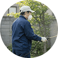 駆除作業の実施