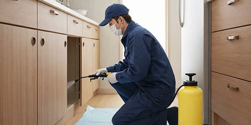 安心安全の薬剤を使用 お子さま・ペットにもやさしい