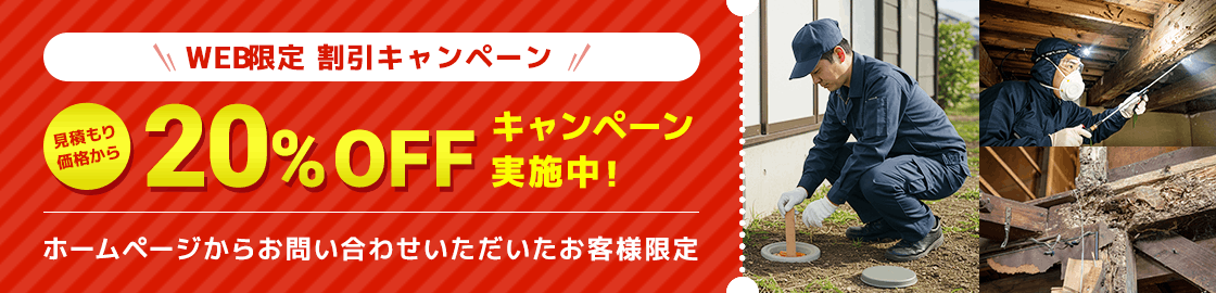 WEB限定割引キャンペーン 20%OFF