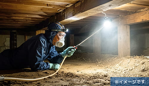 駆除イメージ