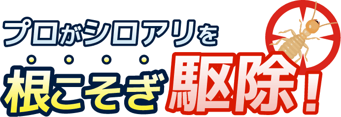 プロがシロアリを根こそぎ駆除！