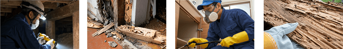 シロアリ駆除作業イメージ