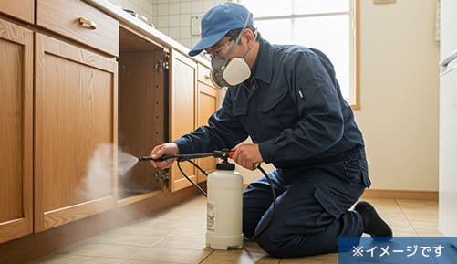ゴキブリ駆除イメージ