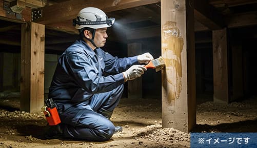 シロアリ駆除イメージ