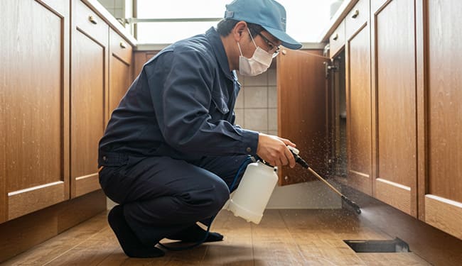 安全な薬剤での駆除