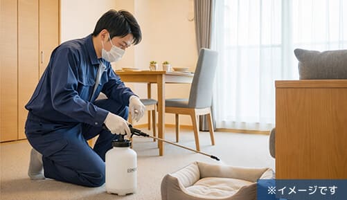 猫から広がったノミの駆除のイメージ