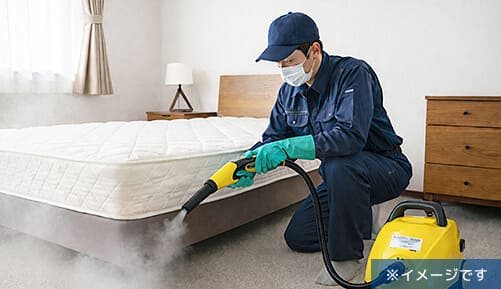 1LDK室内で徹底したトコジラミ駆除のイメージ