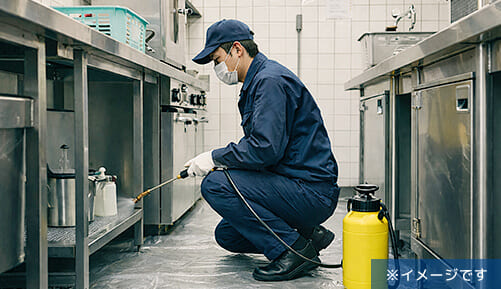 飲食店厨房での集中駆除イメージ
