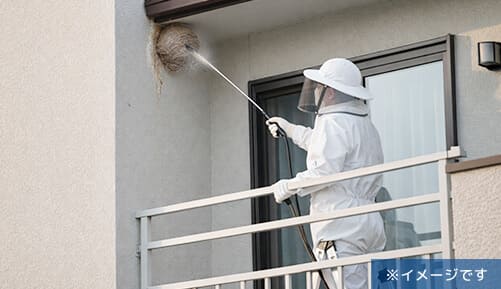 2階屋根下のスズメバチの巣駆除のイメージ