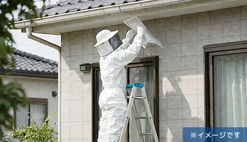 軒下にできたアシナガバチの巣駆除の作業イメージ