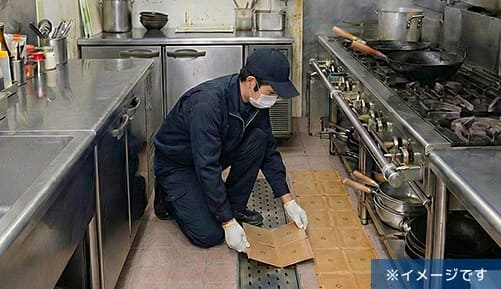 深夜営業の居酒屋厨房でのネズミ集中駆除の作業イメージ