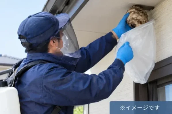 ベランダのアシナガバチ・巣の駆除の作業イメージ